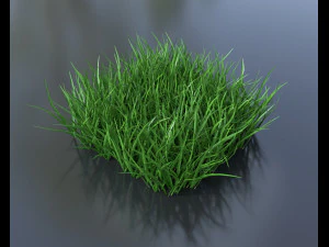 grass pack 3D Model