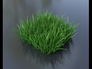 grass pack Modèle 3D