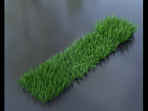 grass pack Modèle 3D