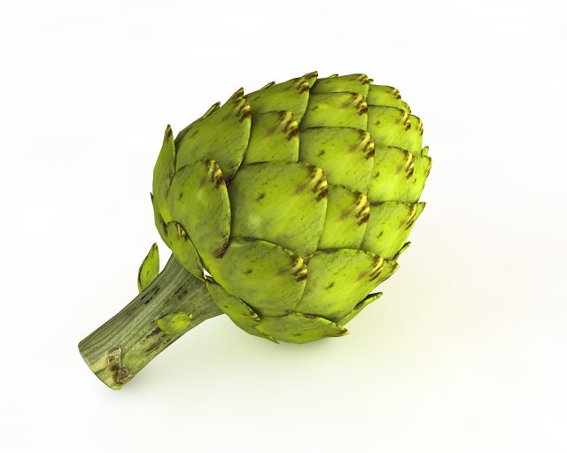 artichoke 3D 모델 .c4d .max .obj .3ds .fbx .stl .blend 