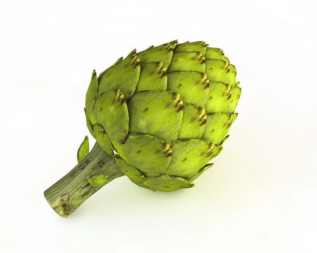 artichoke 3D Model .c4d .max .obj .3ds .fbx .stl .blend 