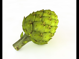 artichoke 3D Model