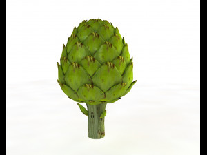 artichoke 3D 모델