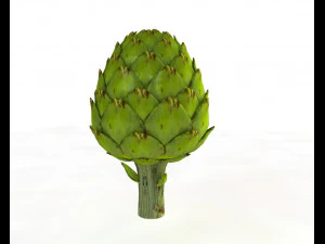 artichoke 3D Model