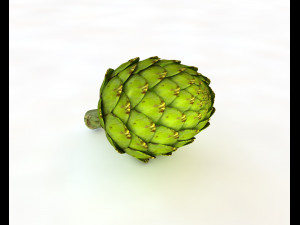 artichoke 3D 모델