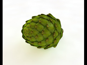 artichoke 3D 모델