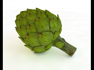artichoke 3D 모델