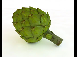 artichoke 3D Model