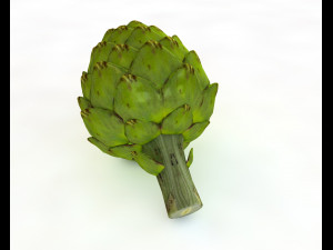 artichoke 3D 모델