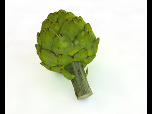 artichoke 3D Model