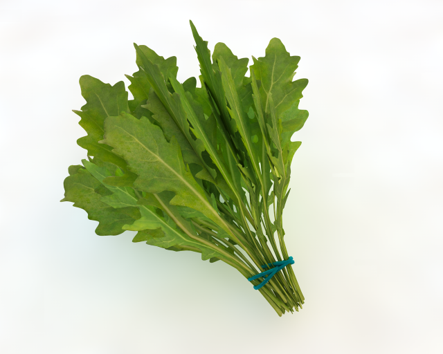 arugula 3D Modell .c4d .max .obj .3ds .fbx .stl .blend 