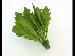 arugula 3D Model