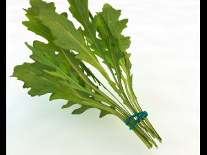 arugula 3D Modell