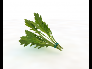 arugula 3D Modell