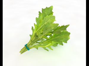 arugula 3D Modell