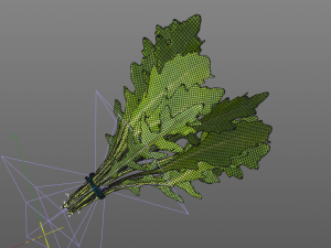 arugula 3D Modell