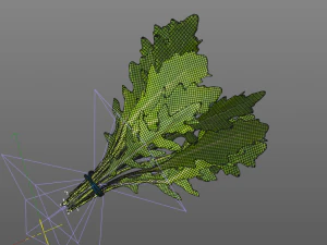 arugula 3D Model