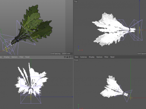 arugula 3D Modell