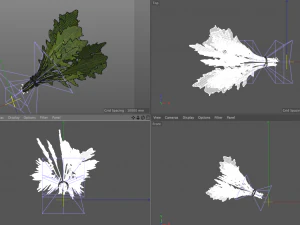 arugula 3D Model