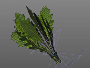 arugula 3D Model