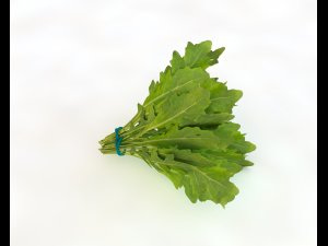 arugula 3D Modell