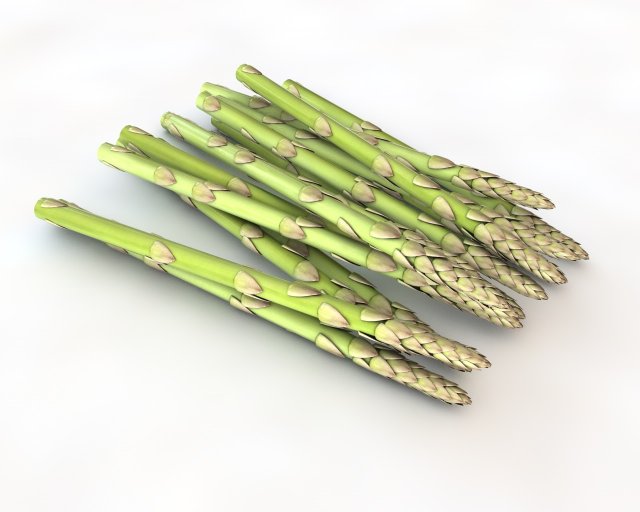 asparagus 3D 模型 .c4d .max .obj .3ds .fbx .stl .blend 