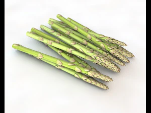 esp&aacute;rragos Modelo 3D