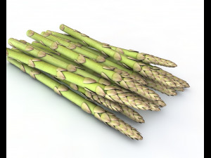 asparagus 3D 模型