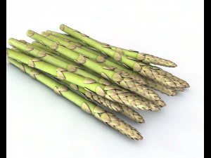 芦笋 3D 模型