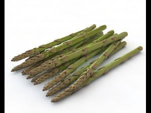 asparagus 3D 模型