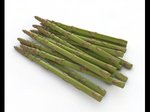 asparagus 3D 模型