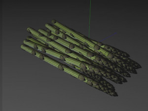 asparagus 3D 模型