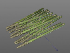 asparagus 3D 模型