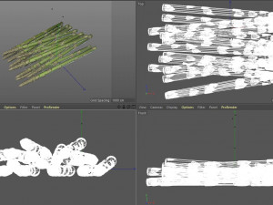 asparagus 3D 模型
