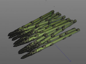 asparagus 3D 模型