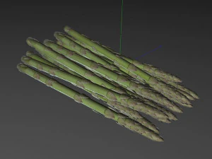 芦笋 3D 模型
