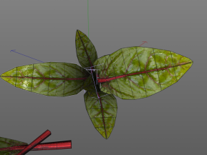 beet greens 3D Model