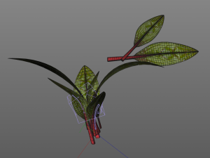 beet greens 3D Model