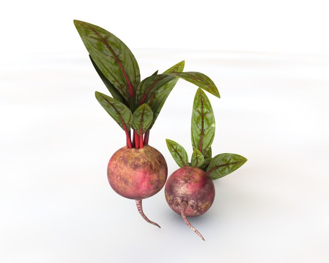 beetroot Modello 3D .c4d .max .obj .3ds .fbx .stl .blend 