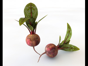 beetroot Modello 3D
