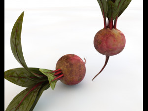 beetroot Modello 3D