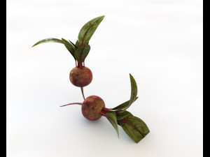 beetroot Modello 3D