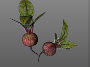 beetroot Modello 3D
