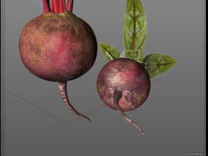beetroot Modello 3D