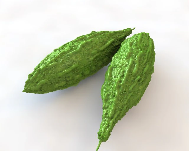 Bitter Gourd 3D Model .c4d .max .obj .3ds .fbx .stl .blend 