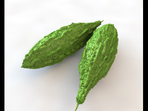 Bitter Gourd 3D Model