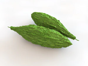 Bitter Gourd 3D Model