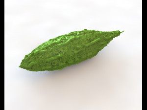 Bitter Gourd Modello 3D
