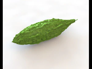 Bitter Gourd 3D Model