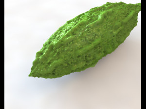 Bitter Gourd Modello 3D